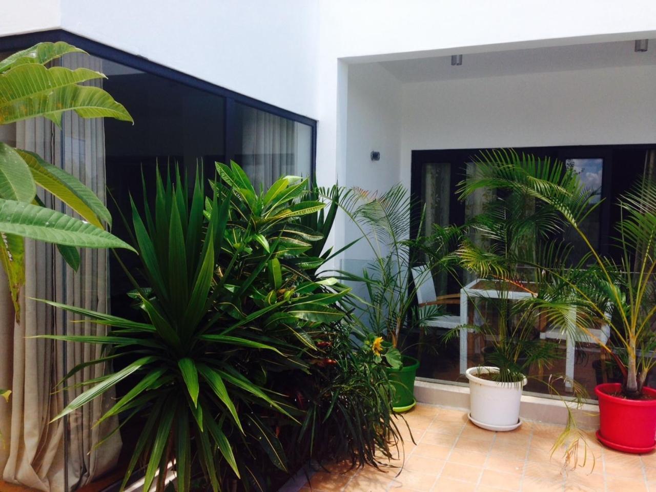 Pingo Premium Apartment La Gaulette Phòng bức ảnh